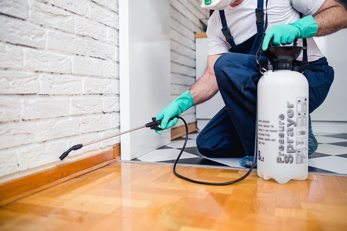 Pest-control technician treating a room edge